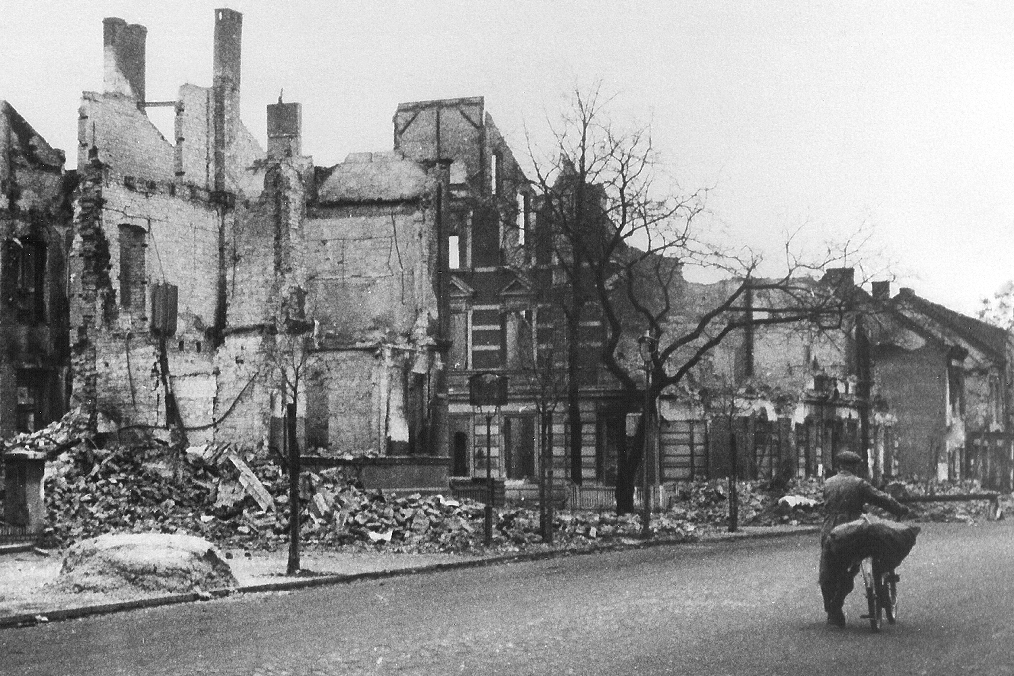 Maulbeerbaum vor den Ruinen von 1944
